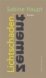Ursi Anna Aeschbacher, Sabine Haupt - Lichtschaden.Zement