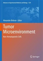 Alexande Birbrair, Alexander Birbrair - Tumor Microenvironment