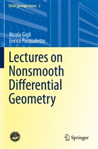 Nicol Gigli, Nicola Gigli, Enrico Pasqualetto - Lectures on Nonsmooth Differential Geometry