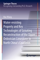 Hao Wang - Water-resisting Property and Key Technologies of Grouting Reconstruction of the Upper Ordovician Limestone in North China's Coalfields