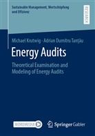 Adrian Dumitru  Tanțau, Adrian Dumitru Tan?au, Adrian Dumitru Tan_au, Adrian Dumitru Tan¿¿u, Adrian Dumitru Tan¿au, Adrian Dumitru Tanțau... - Energy Audits