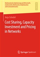 Anja Schedel - Cost Sharing, Capacity Investment and Pricing in Networks