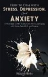 Richard Banks - How to Deal With Stress, Depression, and Anxiety