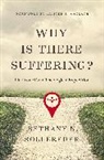 Bethany N. Sollereder - Why Is There Suffering?