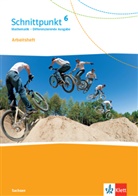 Schnittpunkt Mathematik 6. Differenzierende Ausgabe Sachsen