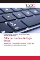 Pedro Armisén Bobo, David Fernández Fernández, María del Mar Recio Díaz - Silla de ruedas de bajo coste