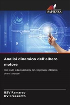 Bsv Ramarao, DV Sreekanth - Analisi dinamica dell'albero motore