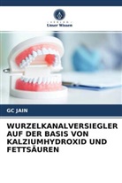 GC JAIN - WURZELKANALVERSIEGLER AUF DER BASIS VON KALZIUMHYDROXID UND FETTSÄUREN