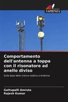Gattupalli Amruta, Rajesh Kumar - Comportamento dell'antenna a toppa con il risonatore ad anello diviso