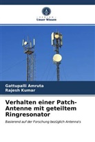 Gattupall Amruta, Gattupalli Amruta, Rajesh Kumar - Verhalten einer Patch-Antenne mit geteiltem Ringresonator