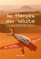 Antoine de Saint-Exupéry, Antoine de Saint-Exupéry - Im Herzen der Wüste