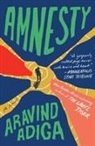 Aravind Adiga - Amnesty