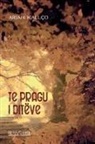 Arjan Kallço - Te pragu i ditëve
