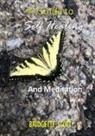 Bridgette Scott - A Guide To Self-Healing and Meditation