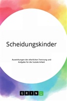 Anonym - Scheidungskinder. Auswirkungen der elterlichen Trennung und Aufgabe für die Soziale Arbeit