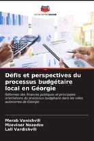 Mzevinar Nozadze, Merab Vanishvili, Lali Vardishvili - Défis et perspectives du processus budgétaire local en Géorgie