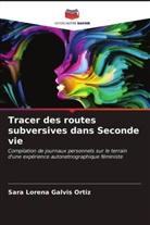 Sara Lorena Galvis Ortiz - Tracer des routes subversives dans Seconde vie