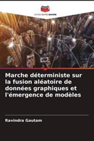 RAVINDRA GAUTAM - Marche déterministe sur la fusion aléatoire de données graphiques et l'émergence de modèles