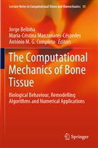 Jorge Belinha, António M. G. Completo, M G Completo, Maria-Cristin Manzanares-Céspedes, Maria-Cristina Manzanares-Céspedes - The Computational Mechanics of Bone Tissue