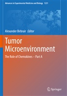 Alexande Birbrair, Alexander Birbrair - Tumor Microenvironment