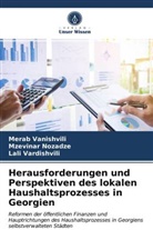 Mzevina Nozadze, Mzevinar Nozadze, Mera Vanishvili, Merab Vanishvili, L Vardishvili, Lali Vardishvili - Herausforderungen und Perspektiven des lokalen Haushaltsprozesses in Georgien