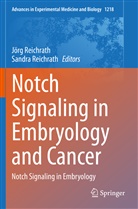 Reichrath, Reichrath, Jör Reichrath, Jörg Reichrath, Sandra Reichrath - Notch Signaling in Embryology and Cancer