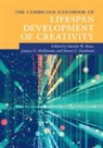 Sandra W. (Case Western Reserve University Russ, Jessica D. Hoffmann, James C. Kaufman, Kaufman James C., Sandra W. Russ, Russ Sandra W. - Cambridge Handbook of Lifespan Development of Creativity