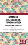 Ian Byrne Hughes, Edmond Byrne, Ian Hughes, Gerard Mullally, Colin Sage - Metaphor, Sustainability, Transformation