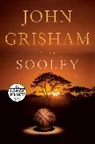Doubleday, John Grisham - Sooley