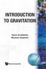 Venzo De Sabbata, Maurizio Gasperini, M Gasperini, V de SABBATA M Gasperini, V de Sabbata - Introduction to Gravitation (B/S)