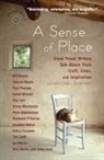 Michael Shapiro - A Sense of Place