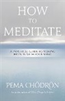 Pema Chodron, Pema Chödrön, Pema Choedroen - How to Meditate