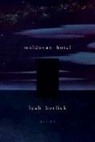 Leah Horlick - Moldovan Hotel
