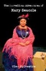 Cleo Sylvestre - The Marvellous Adventures of Mary Seacole
