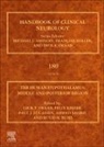 Ruud M Buijs, Ruud M. (Instituto de Investigaciones Biomedicas Buijs, Dick F. Swaab, Felix Kreier, Felix (OLVG Hospitals Kreier, Paul J Lucassen... - The Human Hypothalamus: Volume 180