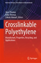 Zakiah Ahmad, Jince Thomas, Sab Thomas, Sabu Thomas - Crosslinkable Polyethylene