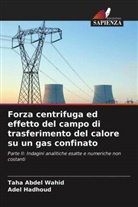 Taha Abdel Wahid, Adel Hadhoud - Forza centrifuga ed effetto del campo di trasferimento del calore su un gas confinato
