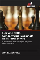 Alfred Anicet Meka - L'azione della Gendarmeria Nazionale nella lotta contro