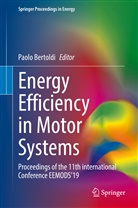 Paol Bertoldi, Paolo Bertoldi - Energy Efficiency in Motor Systems