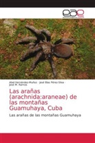 Abel Hernández-Muñoz, José Blas Pérez-Silva, José M. Ramos - Las arañas (arachnida:araneae) de las montañas Guamuhaya, Cuba