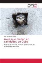 Abel Hernández-Muñoz - Aves que anidan en cavidades en Cuba