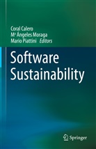 M Ángeles Moraga, Mª Ángeles Moraga, Coral Calero, Mª Ángeles Moraga, Mario Piattini - Software Sustainability