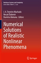 Dumitru Baleanu, J. A. Tenreiro Machado, Necat Özdemir, Necati Özdemir - Numerical Solutions of Realistic Nonlinear Phenomena