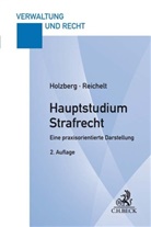 Ral Holzberg, Ralf Holzberg, Matthias Reichelt - Hauptstudium Strafrecht