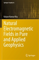Kalyan Kumar Roy - Natural Electromagnetic Fields in Pure and Applied Geophysics