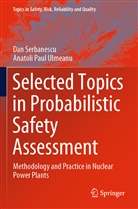 Da Serbanescu, Dan Serbanescu, Anatoli Paul Ulmeanu - Selected Topics in Probabilistic Safety Assessment