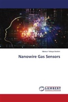 Mansur Yahaya Ibrahim - Nanowire Gas Sensors