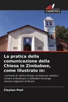 Clayton Peel - La pratica della comunicazione della Chiesa in Zimbabwe, come illustrato in: