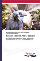 Gustavo Oliveira Everton, Aline Medeiro Ferreira, Nilton Silva Costa Mafra - Larvicida contra Aedes aegypti