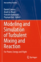 Francine Battaglia, Francine Battaglia et al, Aras G Nouri, Arash G Nouri, Peyman Givi, Daniel Livescu... - Modeling and Simulation of Turbulent Mixing and Reaction